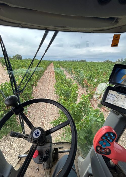 WhatsApp Image 2025-02-27 at 15.09.12